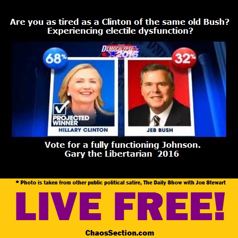 Chaos Section political satire