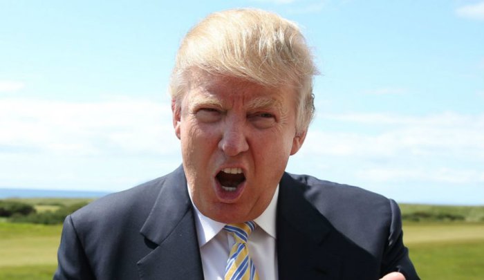 donald-trump-by-Ian-MacNichols